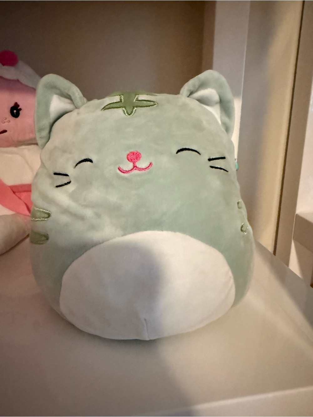 Squishmallow Mint Green Plush Cat Stuffed Animal